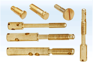 Brass Sealing Screws Brass Energy meter Screws Brass Meter parts Brass Electric meter screws India